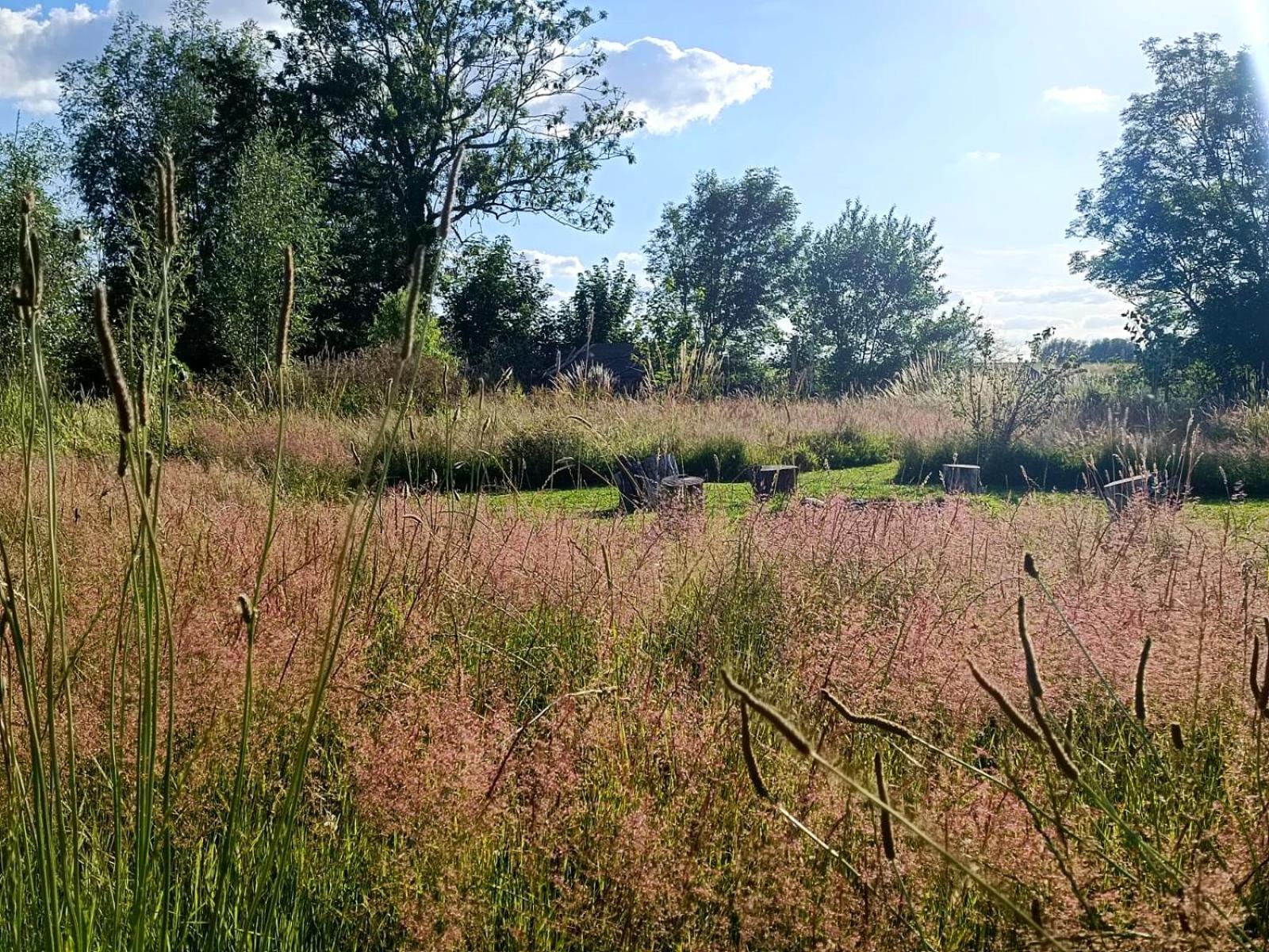 Hotel Au Pied Du Trieu, The Glamping Experience Labroye Esterno foto
